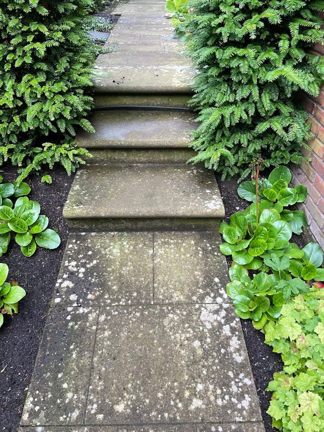 green patio algae on step in a garden, Before using HR Total Power Clean Patio Cleaner, 2025